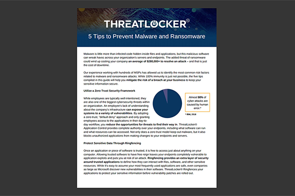 Whitepaper: 5 Tips to Prevent Malware and Ransomware